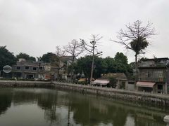 -沙湾姜埋奶(兴新包店)