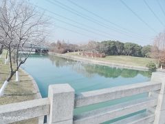 -九里河湿地公园
