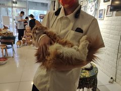 -平行世界·猫咖(首经贸店)