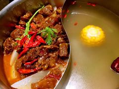 -手选潮汕鲜活牛肉火锅(二七广场店)