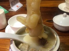 花胶杏汁炖猪肺（海白胶）-黄祥华养生堂·炖汤·营养蒸饭(岭南天地店)