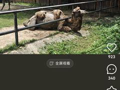 -南昌动物园