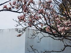 -无锡梅园公园