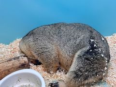 -FAIRYLAND龙族星球主题餐厅(凯丹广场店)