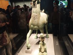 -广西壮族自治区博物馆