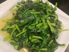 高山豆苗-新南华大酒店(广中店)
