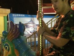 -巨鹏飞梦幻海岸