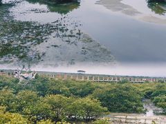 -北海金海湾红树林生态旅游区