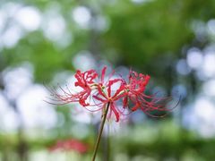 -白塘生态植物园