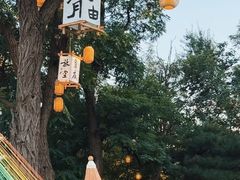 -阳台山自然风景区