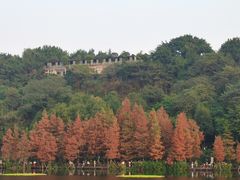 -重庆彩云湖湿地公园