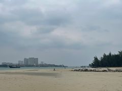 -东郊椰林