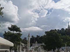 -云南勐巴娜西珍奇园