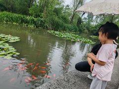 -习家池