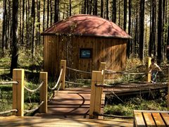 -塞罕坝国家级自然保护区