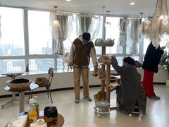 -共舞时光猫咖·狗咖(新街口店)