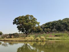 -无锡梅园公园