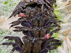 -席娜卡琳火车铁道夜市