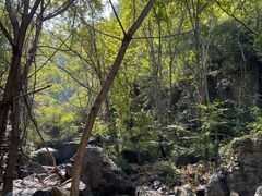 -云岫谷游猎自然风景区