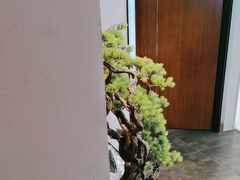 -端艾堂·SPA·艾灸(棕榈泉013店)