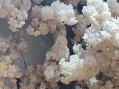 -牛也烧肉(摩尔城店)