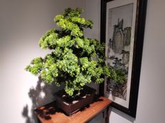 -徽镇小厨·经典徽菜(十里河店)