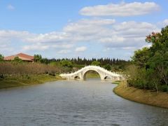 -上海海湾国家森林公园