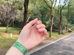 -合肥野生动物园
