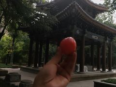 -西安大兴善寺