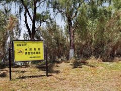 -漕湖湿地公园