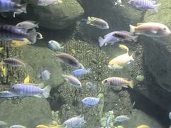 -苏州海洋馆