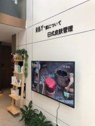 -R&Y·肌について日韩问题肌皮肤管理