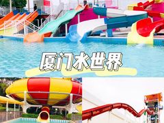 -巨鹏飞梦幻海岸
