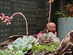 -梅州天地人花园酒店(梅县人民广场店)