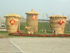 -上海都市菜园