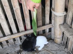 -宁波九龙湖开元度假村