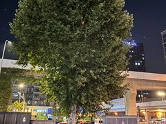 -凯德广场(西城店)