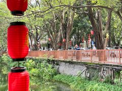 -侨美·唐荔园·40年地道粤菜