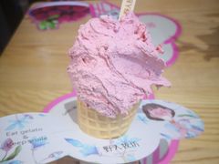 -野人先生现做冰淇淋(北京顺义祥云小镇店)