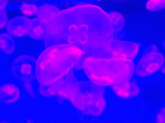 -波塞冬旅游度假区