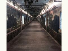 -青岛葡萄酒博物馆