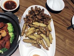 -东海章鱼馆(恒瑞街店)