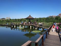 -前关湿地公园