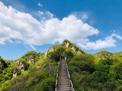 -大岭沟猕猴桃谷风景区