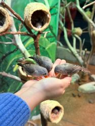 -Zoolung Zoolung动物主题公园(海信广场店)