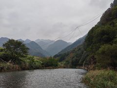-芦茨金富饭庄·25年老字号·专做稻草鸡