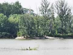 -翠湖国家城市湿地公园