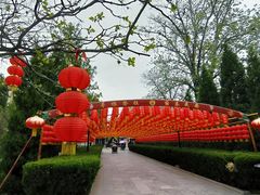 -大槐树寻根祭祖园