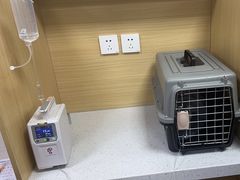 -美联众合爱康动物医院•复杂内科•肿瘤科•牙科•腔镜诊疗中心