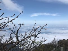-峨眉山风景名胜区